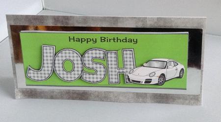Porsche Josh Large Dl by Audrey Wilson