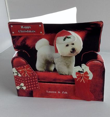 Bichon Frise in a Christmas Armchair by Audrey Wilson