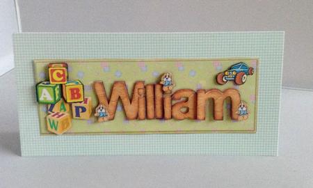 Large Dl Name Card William by Audrey Wilson