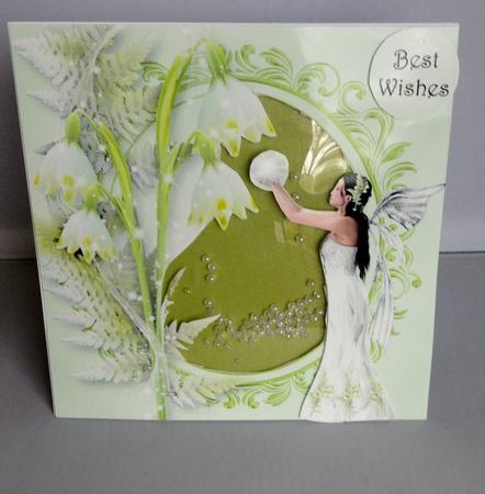 The Snowdrop Fairy by Audrey Wilson