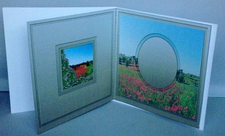 Poppy Fields Matching 6in x 6in Insert by Audrey Wilson