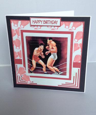 Boxing Match by Audrey Wilson
