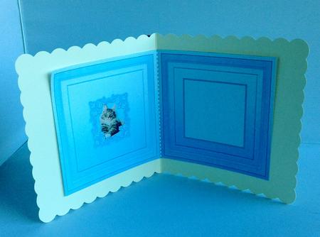 Tabby Cat in a Fancy Pearl Frame Matching 5in x 5in Insert by Audrey Wilson