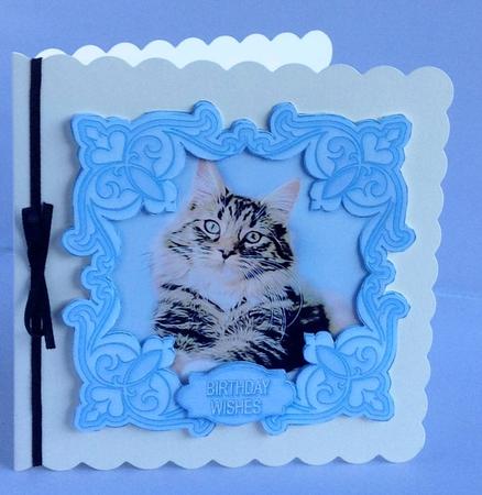 Tabby Cat in a Fancy Pearl Frame 5in x 5in Decoupage by Audrey Wilson