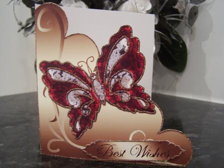 Beautiful Butterfly on Scalloped Edge Cut & Fold Card 4 by Audrey Rae
