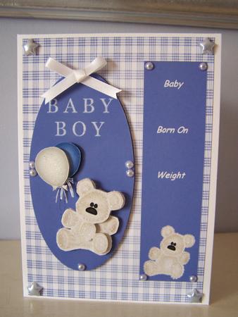 Baby Boy Step by Step by Audrey Rae