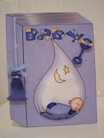 New Book Front Baby Boy by Audrey Rae