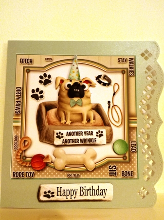 Another Year Another Wrinkle by Barbara Hurst
