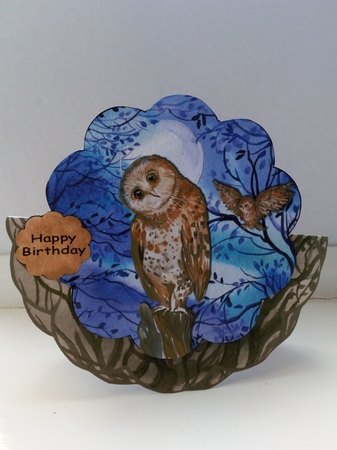 Wobble Card Mini Kit - Owl for lots of occasions #4 by Barbara Hurst