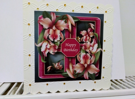 Floral Quad Frame Bumper Kit 1 by Barbara Hurst