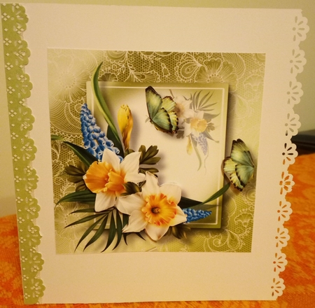 Lovely Lace Back Daffodils & Butterflies 8x8 by Barbara Hurst