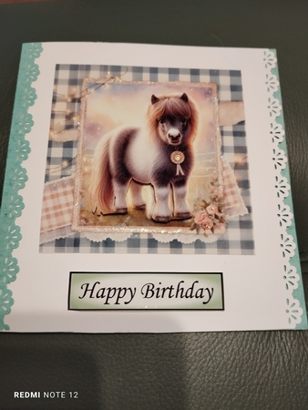 Little Shetlands 1 CUSTOMER REQUEST by Barbara Hurst