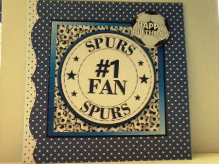 SPURS NUMBER ONE FAN by Barbara Hurst
