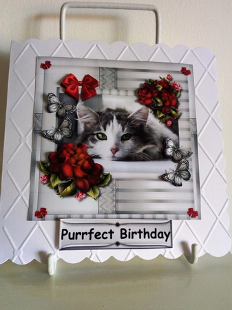 Beautiful Kitten & Red Roses by Barbara Hurst