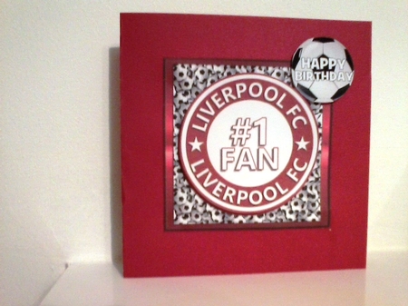LIVERPOOL FC by Barbara Hurst