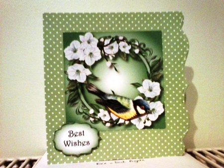 Blue Tit & Blossom - Watercolour Wonder 8x8 by Barbara Hurst