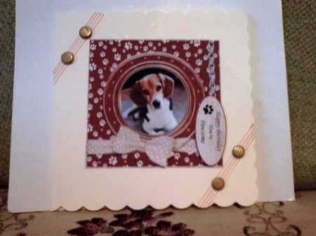 BEAGLE THANK YOU AND VARIOUS OTHER SENTIMENTS by Barbara Hurst