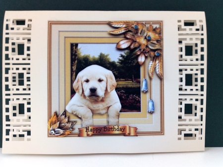 Animals Stepping Out - Puppy by Barbara Hurst