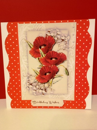 Beautiful Poppies  on Corner Lace  by Barbara Hurst