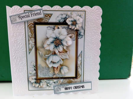 Winter Flora A5 Card Kit by Barbara Hurst