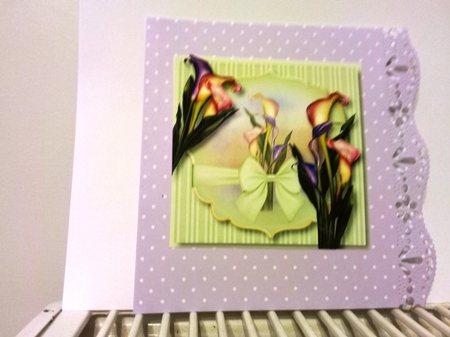 Calla Lily Beauty 8x8 by Barbara Hurst