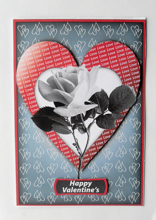 Love Heart with White Rose by Gillian Lester