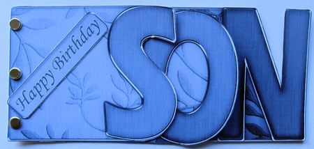 Son Elegant Metallic Book Sheet by Gillian Lester