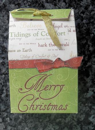 Merry Christmas Pinch Bag by Gillian Lester