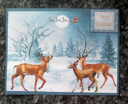 Christmas is Family by Gillian Lester
