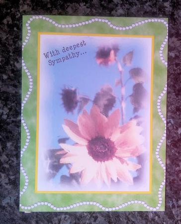 Sunflower Sympathy by Gillian Lester