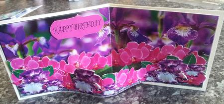 Triple Layer Iris Gardener Easy with Instructions by Gillian Lester