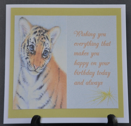 Big Cat by Barbara Stubbings
