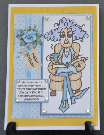 Stella Puts Things Away Safe Quick Card by Barbara Stubbings