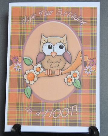 Ollie Owl A4 Card by Barbara Stubbings