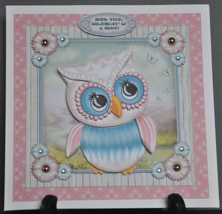 Hoot by Barbara Stubbings