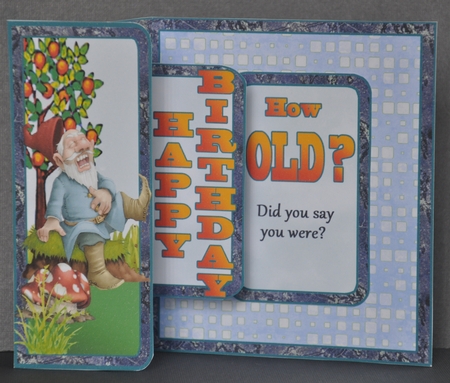 Fold Back Pop-up How Old? by Barbara Stubbings