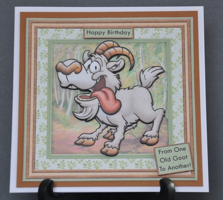 From One Old Goat to Another Birthday Ages Retirement Mini K by Barbara Stubbings