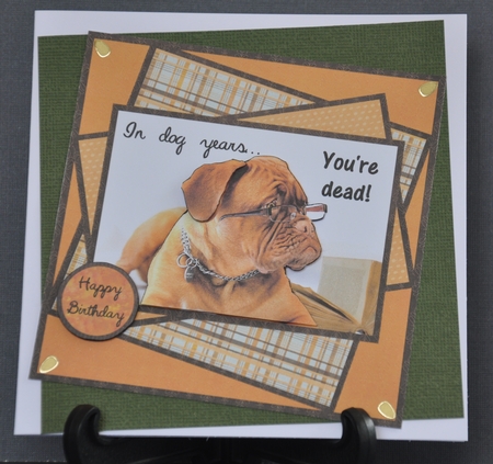 In Dog Years - you're Dead! Funny Male Birthday Mini Kit by Barbara Stubbings
