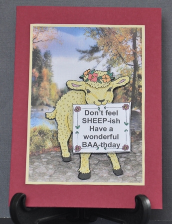 Have a Wonderful Baa-thday by Barbara Stubbings