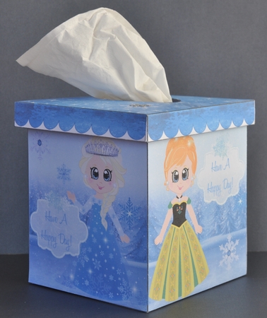 Frozen Anna Elsa Tissue Box Cover by Barbara Stubbings