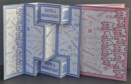 Shutter Surprise Card - Eighteen (pink) by Barbara Stubbings
