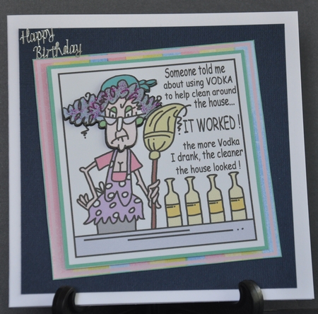 Vodka Helps Clean The House by Barbara Stubbings