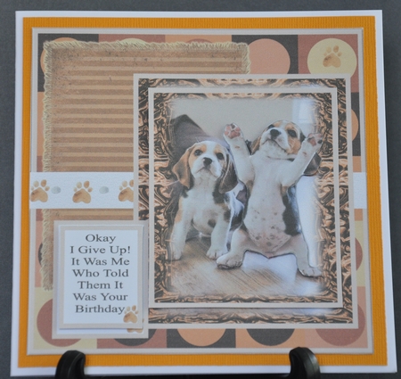 Doggie Surrender by Barbara Stubbings