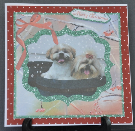 CHRISTMAS CUTE DOUBLE TROUBLE by Barbara Stubbings
