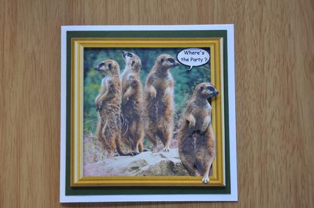 Meerkats Out of the Frame by Barbara Stubbings