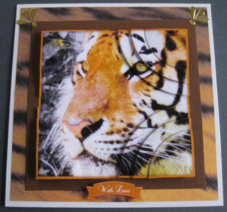 Tiger Watercolour Corner Stacker by Barbara Stubbings