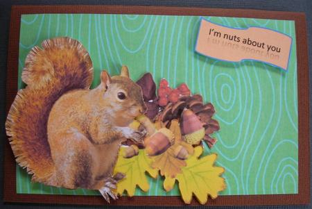 Grey Squirrel by Barbara Stubbings