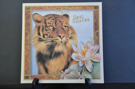 Tiger Lotus by Barbara Stubbings