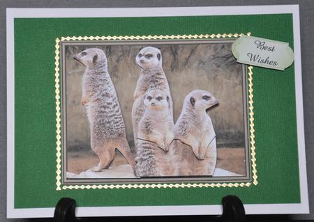 Meerkats Scene 3D Decoupage by Barbara Stubbings