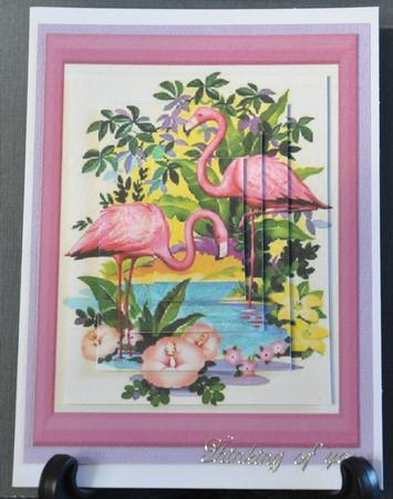 Pink Flamingo by Barbara Stubbings